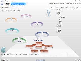 MyBIS Accounting Professional 2013